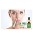 JGS Tea Tree Oil 15ml